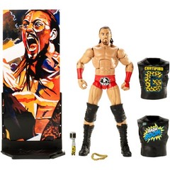 WWE Wrestling Elite Collection Big Cass Figure DAMAGED PACKAGING