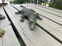 1 Large Realistic Lifelike Foam Alligator 44″ And 1 Soft Rubber Alligator 26″