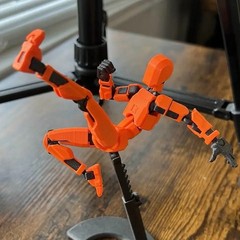 Dummy 13 3D Printed Action Figure Poseable Articulated Mannequin