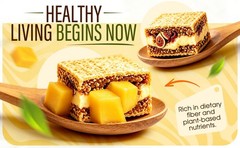 Fig & Walnut Stuffed Mango Pie, 250g Fig and Walnut Bars with Black Sesame ,