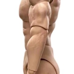 1/6 Scale BD003 Muscular Male Action Figure Body For 12″ Hot Toy Soldier Head Cj