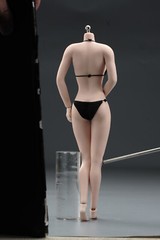 US 1/6 Female Mid Bust Pale Skin Flexible Seamless Body 12in Action Figure Doll