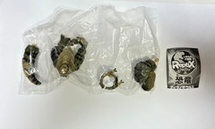 The Diversity of Life on Earth ReptiX Dinosaur Figure Bandai Capsule Toy