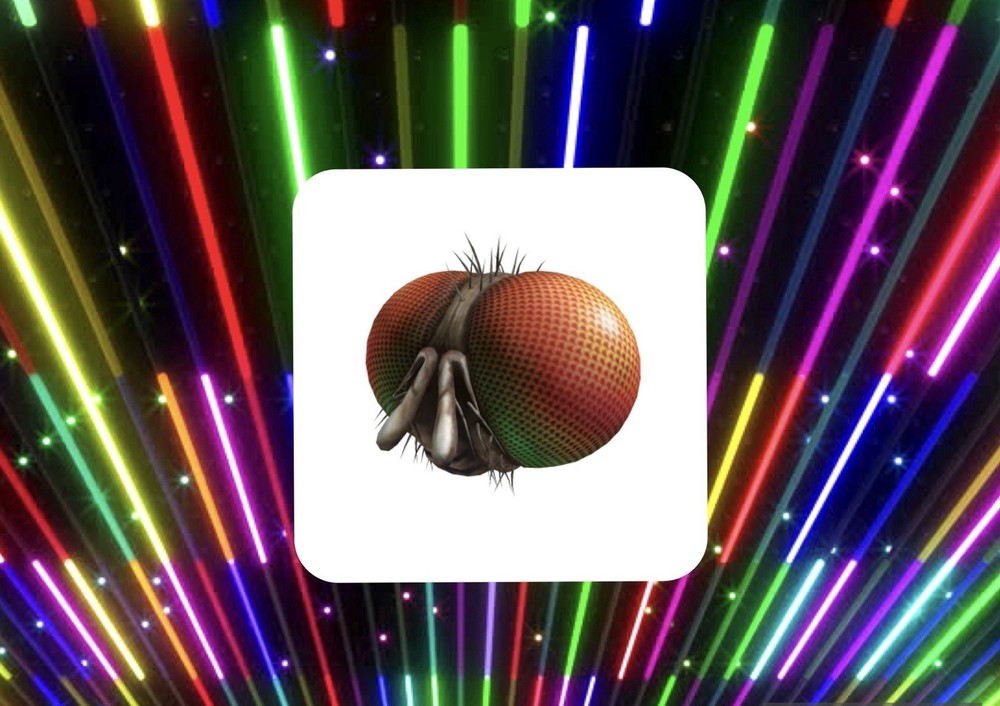R0BLOX Toy Code – Freaky Fly Face | With Special Effect