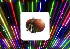 R0BLOX Toy Code – Freaky Fly Face | With Special Effect