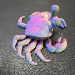 Ghost Crab Toy Articulated 3D Printed Handmade Novelty Varying Colors