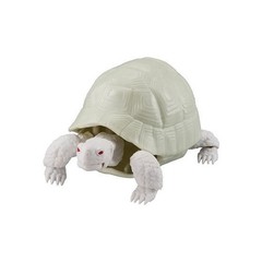 The Diversity of Life on Earth Turtle 01, 02 & 05 Figure Bandai Capsule Toy
