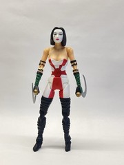 Shocker Toys Kabuki Assassin Figure Complete Maxx Series