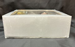 Lin Dan Limited Edition Li Ning Toy Figure Box Damage