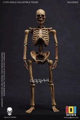 101TOYS NO.ES001/2 Palm Elf Series Skeleton Body 1/12 Action Figure Collectible