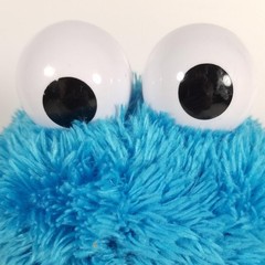 Count N Crunch Cookie Monster Electronic Plush Sesame Street No Cookies WORKS