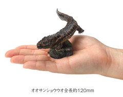 The Diversity of Life on Earth Mini Collection Amphibian Andrias Japonicus
