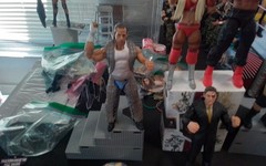 WWE Mattel 2025 Summer Slam Elite Wave BAF Regal,Reigns,Charlotte,Triple H & HBK