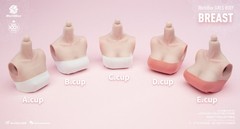 1/6 female E CUP BUST Chest replacement model Worldbox Pale Suntan Figure ❶USA❶