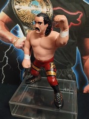Jake The Snake Roberts FIGURE HASBRO CUSTOM WWF WWE LOT WRESTLING
