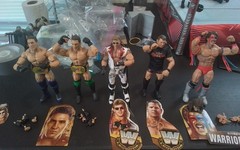WWE Mattel Legends Series #17 Shamrock w/Chase HBK AJ Styles Ultimate Warrior