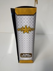 NECA Amazon The Boys 7″ Ultimate Action Figure – STARLIGHT! NIB