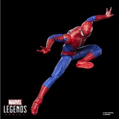 Marvel Legends The Amazing Spider-Man No Way Home 6in Figure Hasbro