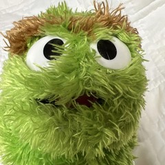 Sesame Street Oscar The Grouch Go Away! 2012 Used With Tag
