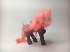 My Little Pony G2 Secret Surprise Friends Petal Blossom