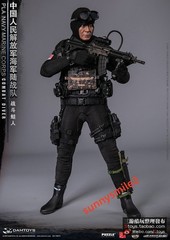 DAMTOYS 78073 1/6 PLA Navy Marine Corps Combat Frogman Special Forces In Stock