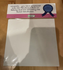 New Obvious Plant Most Handsome Award & Sticker Pack Internet Meme Art Toy /300