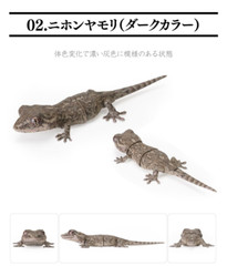 Creature Encyclopedia Japanese Gecko & Bearded Dragon Set of 5 Bandai Gashapon