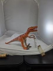 2014 Velociraptor 2204 G /polyester Material Indestructible, Flexible Lifelike.