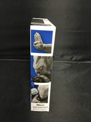 Genuine Bandai S.H.Figuarts Super Saiyan Vegeta DANGEROUS PRIDE Figure