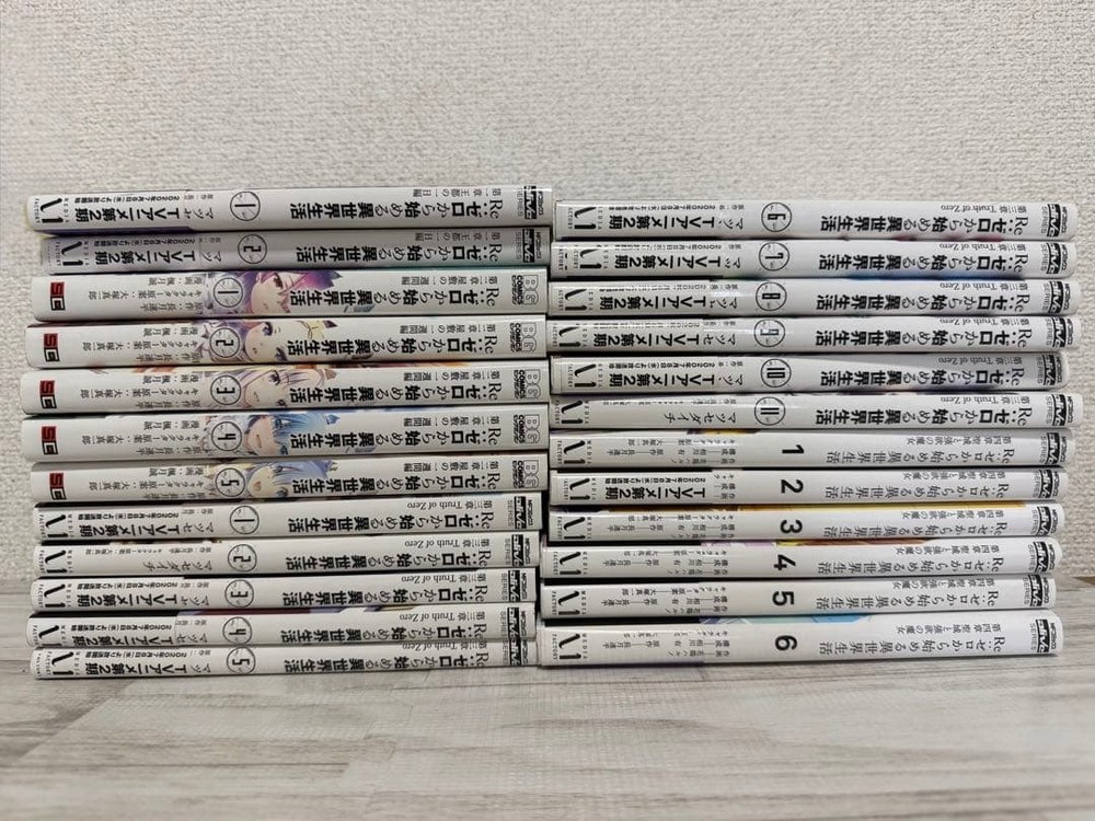Re:ZERO -Starting Life in Another World- Volume 24 Set