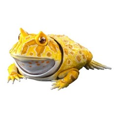 Horned Frog Figure Set of 4 Complete Bandai Creature Encyclopedia Capsule Toy