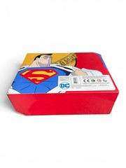 DC Collectibles Superman Animated Series Superman & Lois Lane Figures
