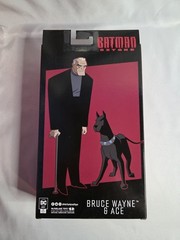 McFarlane DC Multiverse SDCC 2024 Batman Beyond Bruce Wayne & Ace Comic Con New