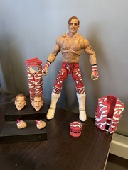 Mattel WWE Ultimate Edition Fan Takeover Shawn Michaels Figure Extra Head