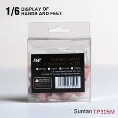 USA Makeup 1:6 Suntan Hands Foot Model Accessories For 12in Female PH TBL Figure