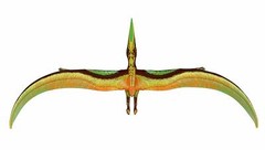 Jet Creations DI-PTE Dinosaur Pteranodon Inflatable 57″ Wingspan- Great For Pool