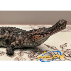 HAOLONGGOOD 1/35 Sarcosuchus Imperator Figure Crocodile Model Decor Gift Toys