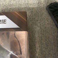Gamestop Exclusive Dungeons & Dragons Modern Icons Catti-Brie Statue Figure New
