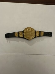 WWE Mattel 2010 US United States Champion Belt Wrestling Figure Accessory Basic