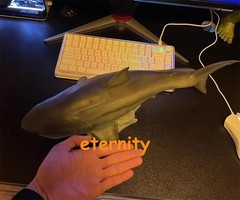 W-Dragon 1/35 Megalodon Prehistoric Shark Dinosaurs Model Statue Toy IN STOCK
