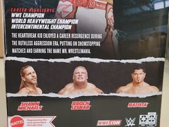 Mattel WWE Elite Collection Best of Ruthless Aggression Shawn Michaels Figure