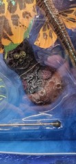 McFarlane Avatar The Way of Water Jake Sully & Skimwing World of Pandora Crushed