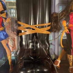 SDCC Exclusive DC Super Hero Girls Wonder Woman Cheetah Dolls 2016 FDR51