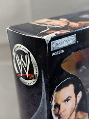 WWE Shop Exclusive Summer Slam Classic Superstars Matt Hardy Jeff Hardy Figures