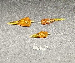 Operation Monster Force Blast Effect Lot 1/12 Fodder