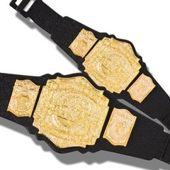 TNA Impact Wrestling Set of 2 Tag Team Championship Action Figure Belts by Jakks