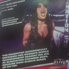 WWE Elite Collection Greatest Hits Rhea Ripley Mint Condition