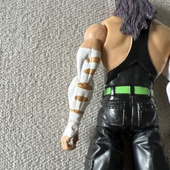 2005 WWE Jakks Pacific Jeff Hardy Deluxe Aggression Action Figure Series 21 WWF