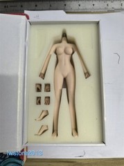 US ANT 1/12 T305B Pale Skin 6″ Seamless Female Action Figure Body Hand Foot Toys