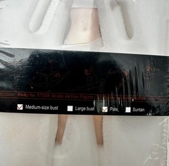 TBLeague Phicen Female Seamless Medium Breast Pale Body w/ Head 1/12 FIGURE Doll